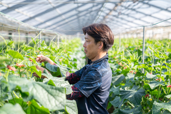 株式会社雨風太陽:食品撮影(2025/11/19)の事例写真