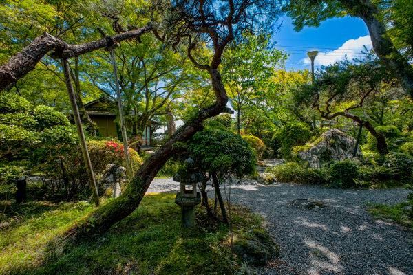 花のいえ:ホテル・旅館撮影(2026/05/29)の事例写真