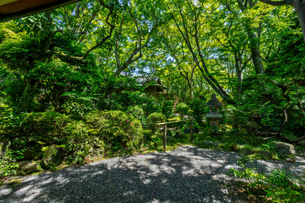 花のいえ:ホテル・旅館撮影(2026/05/29)の事例写真