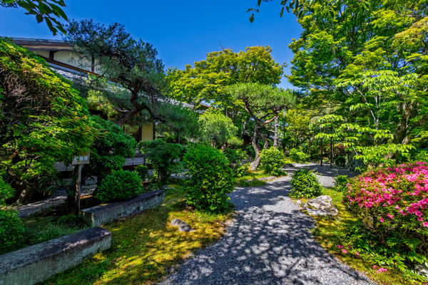 花のいえ:ホテル・旅館撮影(2026/05/29)の事例写真