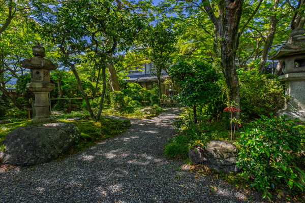 花のいえ:ホテル・旅館撮影(2026/05/29)の事例写真