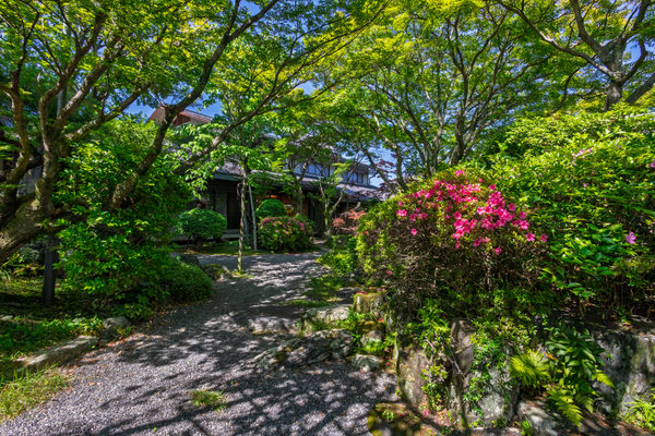 花のいえ:ホテル・旅館撮影(2026/05/29)の事例写真