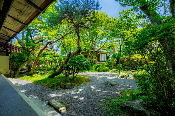 花のいえ:ホテル・旅館撮影(2026/05/29)の事例写真