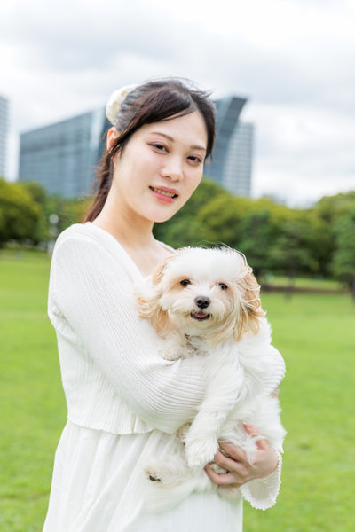 株式会社Vis Creation:企業案内用(集合写真)撮影(2026/08/31)の事例写真