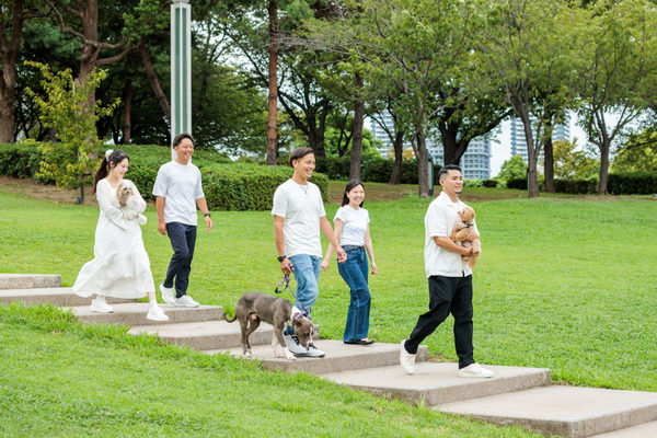株式会社Vis Creation:企業案内用(集合写真)撮影(2026/08/31)の事例写真