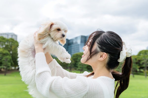 株式会社Vis Creation:企業案内用(集合写真)撮影(2026/08/31)の事例写真