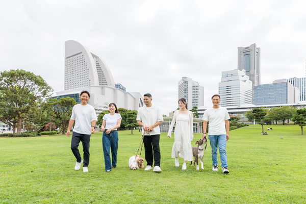 株式会社Vis Creation:企業案内用(集合写真)撮影(2026/08/31)の事例写真