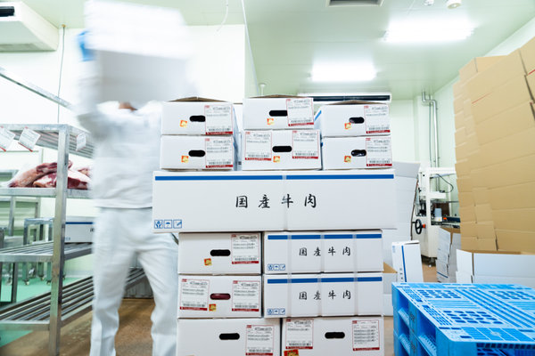 ビーフプレイス株式会社:企業案内用(仕事風景)撮影(2024/09/05)の事例写真